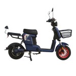 Power type household/takeaway/cargo 007 electric bicycle 800W motor lithium battery