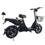 14 inch No. 9 household electric bike 350W brushless gearless motor lithium battery electric bike