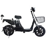 14 inch No. 9 household electric bike 350W brushless gearless motor lithium battery electric bike