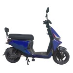 New power type household/takeaway/cargo electric bicycle 400W/800W motor lithium battery