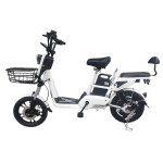 14 inch size 9 dual oil disc new 350W brushless gearless motor lithium battery electric bicycle