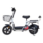 14 inch pedal electric bicycle 350W brushless gearless motor lithium battery electric bicycle