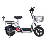 14 inch pedal electric bicycle 350W brushless gearless motor lithium battery electric bicycle