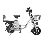 14 inch Sports Brushless and Gearless Motor LCD Instrument Electric Bicycle