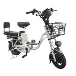 14 inch Sports Brushless and Gearless Motor LCD Instrument Electric Bicycle