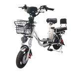 14 inch Sports Brushless and Gearless Motor LCD Instrument Electric Bicycle