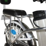 16 inch/20 inch aluminum alloy ylang-ylang princess integrated wheel 350W brushless motor lithium battery electric bicycle