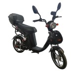 16/18 inch popular rider big seat power type home takeaway cargo long distance electric bike 400W/800W motor
