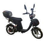16/18 inch popular rider big seat power type home takeaway cargo long distance electric bike 400W/800W motor