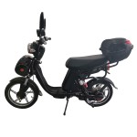 16/18 inch popular rider big seat power type home takeaway cargo long distance electric bike 400W/800W motor
