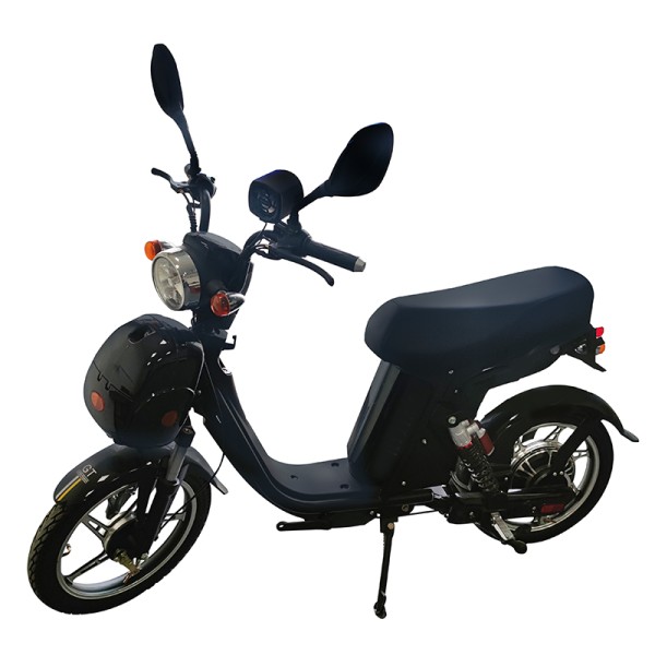 16/18 inch popular rider big seat power type home takeaway cargo long distance electric bike 400W/800W motor