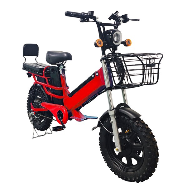 16 inch dual battery beach tire, snow tire, lithium battery, powerful electric bicycle