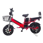 16 inch dual battery beach tire, snow tire, lithium battery, powerful electric bicycle