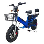 16 inch dual battery beach tire, snow tire, lithium battery, powerful electric bicycle