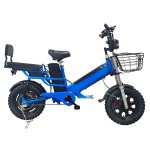 16 inch dual battery beach tire, snow tire, lithium battery, powerful electric bicycle