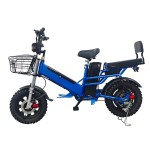 16 inch dual battery beach tire, snow tire, lithium battery, powerful electric bicycle