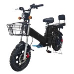 16 inch dual battery beach tire, snow tire, lithium battery, powerful electric bicycle