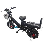 16 inch dual battery beach tire, snow tire, lithium battery, powerful electric bicycle