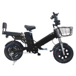 16 inch dual battery beach tire, snow tire, lithium battery, powerful electric bicycle