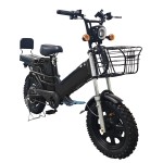 16 inch dual battery beach tire, snow tire, lithium battery, powerful electric bicycle
