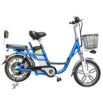 16 inch Yilan Princess Integrated Wheel 350W Brushless Gearless Motor Lithium Battery Electric Bicycle