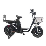 16 inch beach tire sports home electric bicycle brushless and gearless motor LCD instrument panel