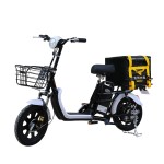 16 inch No. 7 household electric bicycle 350W brushless and gearless motor lithium battery electric bicycle