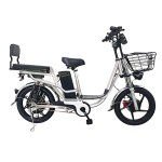 18 inch Sports Brushless and Gearless Motor LCD Instrument Electric Bicycle