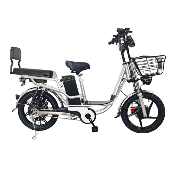 18 inch Sports Brushless and Gearless Motor LCD Instrument Electric Bicycle