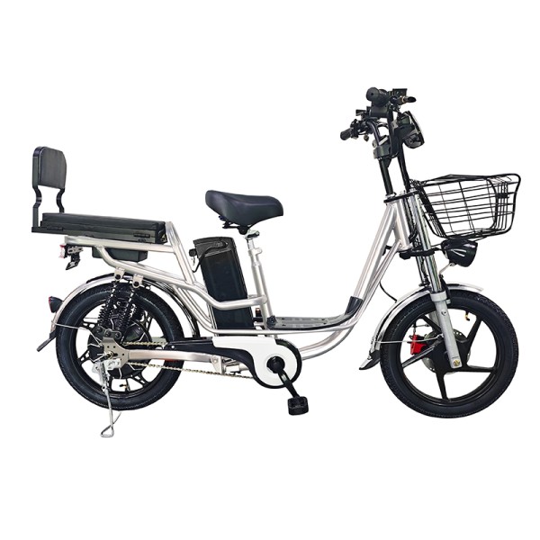 18 inch Sports Brushless and Gearless Motor LCD Instrument Electric Bicycle