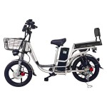 18 inch Sports Brushless and Gearless Motor LCD Instrument Electric Bicycle