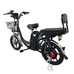 18 inch Sports Brushless and Gearless Motor LCD Instrument Electric Bicycle