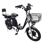 18 inch Sports Brushless and Gearless Motor LCD Instrument Electric Bicycle