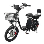 18 inch Sports Brushless and Gearless Motor LCD Instrument Electric Bicycle