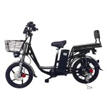 18 inch Sports Brushless and Gearless Motor LCD Instrument Electric Bicycle
