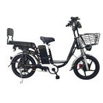 18 inch Sports Brushless and Gearless Motor LCD Instrument Electric Bicycle