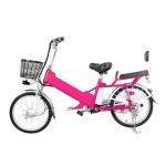 20/24 inch double shock absorbing spoke wheel 240W brushless with gear motor lithium battery electric bike