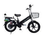 20 inch wide tire integrated wheel electric bike with bluetooth speaker 350W brushless gearless motor lithium battery