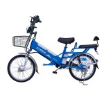 20 inch spoke wheel 350W brushless gear motor lithium battery electric bicycle