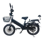 20 inch fat tire integrated wheel electric bike bluetooth speaker 350W lithium battery electric vehicle