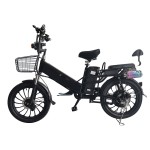 20 inch double battery fat tire integrated wheel bluetooth speaker electric bike 350W brushless gearless motor lithium battery