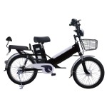 20 inch double battery spoke wheel plus fat tire electric bike 350W brushless with gear motor lithium battery