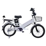 20 inch double battery spoke wheel plus fat tire electric bike 350W brushless with gear motor lithium battery