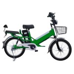 20 inch double battery spoke wheel plus fat tire electric bike 350W brushless with gear motor lithium battery