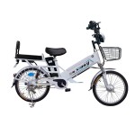 20 inch double battery spoke wheel long distance electric bike 350W brushless with gear motor lithium battery
