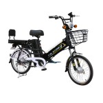 20 inch double battery spoke wheel long distance electric bike 350W brushless with gear motor lithium battery