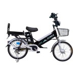 20 inch double battery spoke wheel long distance electric bike 350W brushless with gear motor lithium battery