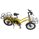 20 inch aluminum alloy double battery shelf electric bike disc brake brushless motor lithium battery