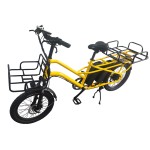 20 inch aluminum alloy double battery shelf electric bike disc brake brushless motor lithium battery