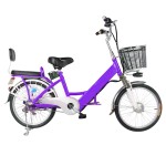 20 inch small tube upgraded dual battery electric bike brushless with gear motor